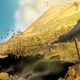 Illustration for article titled A sneak preview of emGreat Pacific/em, a new science fiction comic about the Pacific Garbage Patch
